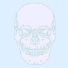 skull on blue background