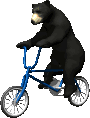 bear riding bicycle animated