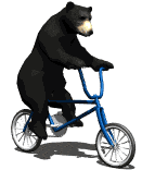 bicycle bear animation