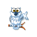 owl