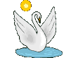 swan animated
