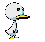quacking duck