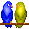 two birds animated