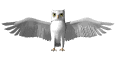 white owl