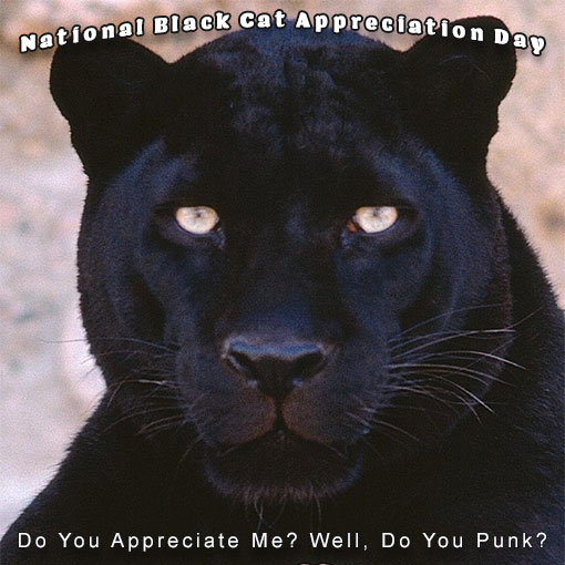 National Black Cat Appreciation Day