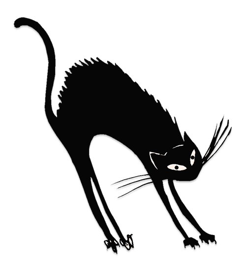 excited black cat