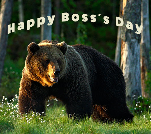 bear Happy Boss's Day