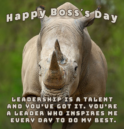 rhino Happy Boss's Day