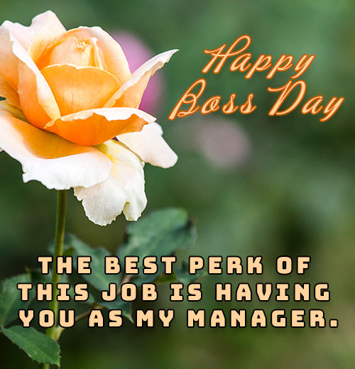 Happy Boss Day