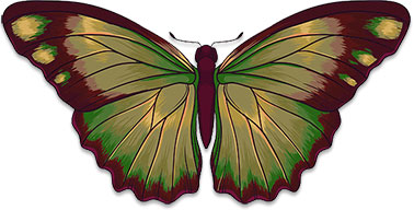 Free Butterfly Animations - Animated Butterfly Gifs - Clipart