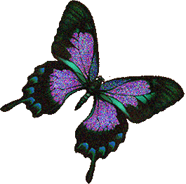 animated butterfly