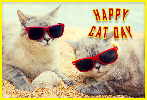 cats happy cat day