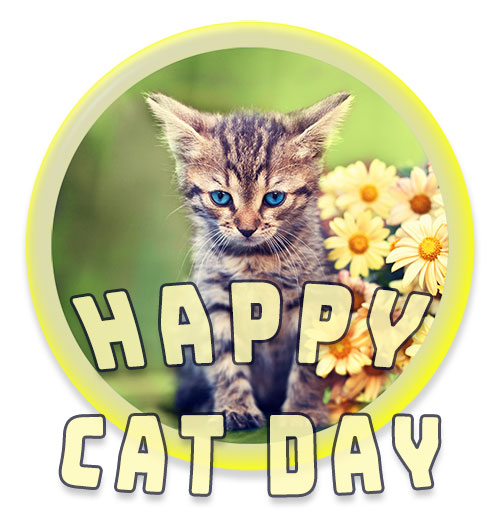 Happy Cat Day