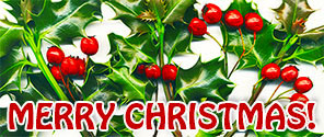 Merry Christmas holly berries