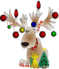 reindeer with decorations