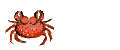Little crab