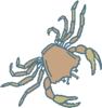 crab clipart