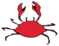 crab pinching