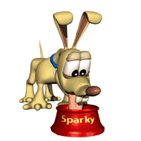 drinking dog