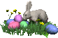 bunny with eggs