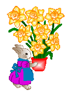 bunny with Easter flowers