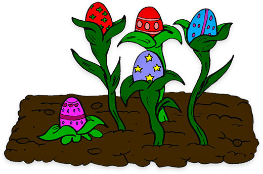where Easter eggs grow