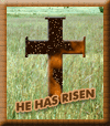 Jesus has Risen T