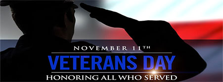 Veterans Day Salute