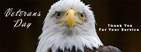Veterans Day eagle