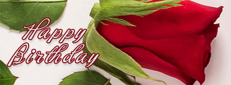 Happy Birthday red rose