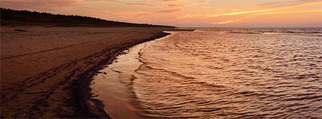 beach at sunset