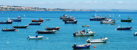 harbor boats