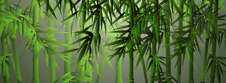 bamboo forest