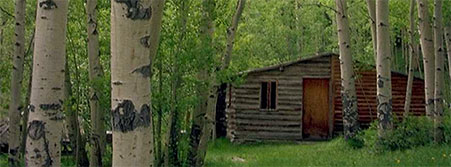 cabin in the forest