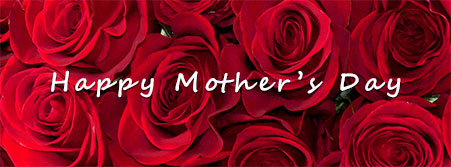 Happy Mother's Day roses