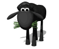 black sheep animation