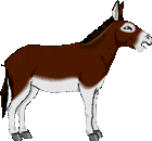 donkey gif image