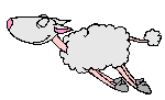 sheep flying