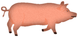 pig to use on white web pages