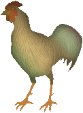 this rooster clipart may be used on any color bg