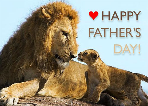father and son lion