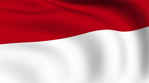 Indonesia wavy flag