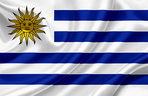 Uruguayan wavy flag