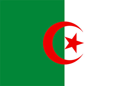 large Algerian flag