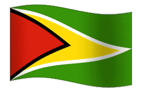 animated Guyana Flag
