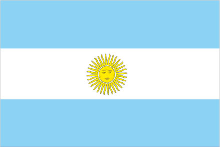 large argentina flag