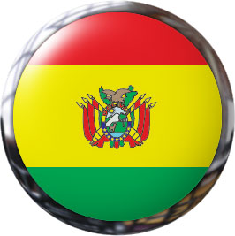 metal trimed Bolivian button