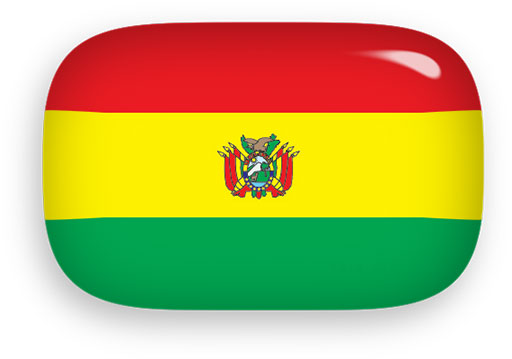 Bolivian Flag button
