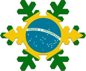 Brazil snowflake flag