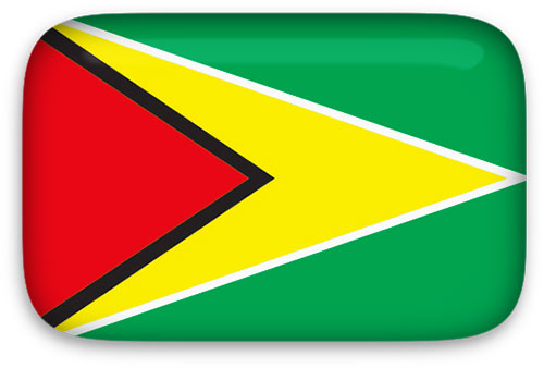 Guyana Flag clipart